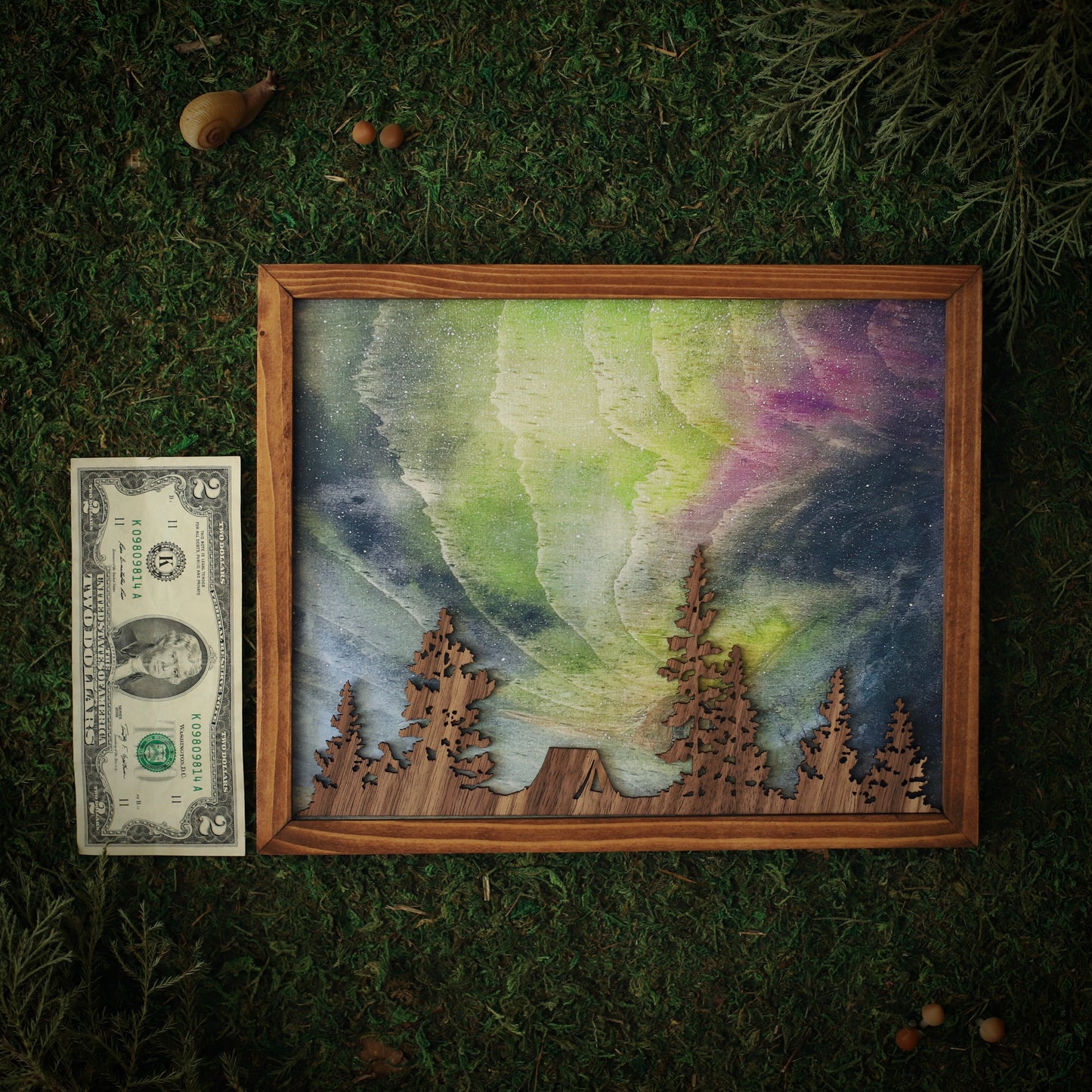 “Arctic Reverie” Northern Lights Framed Print