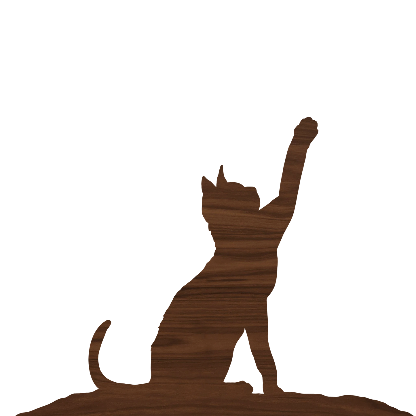 Cat 1