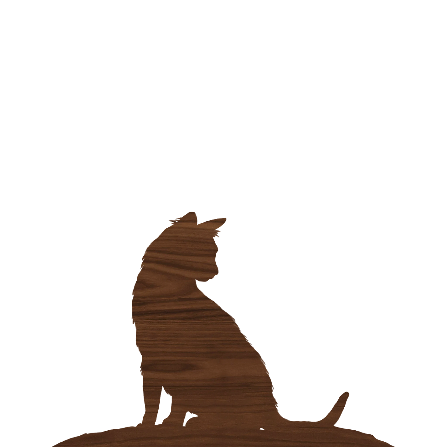 Cat 2