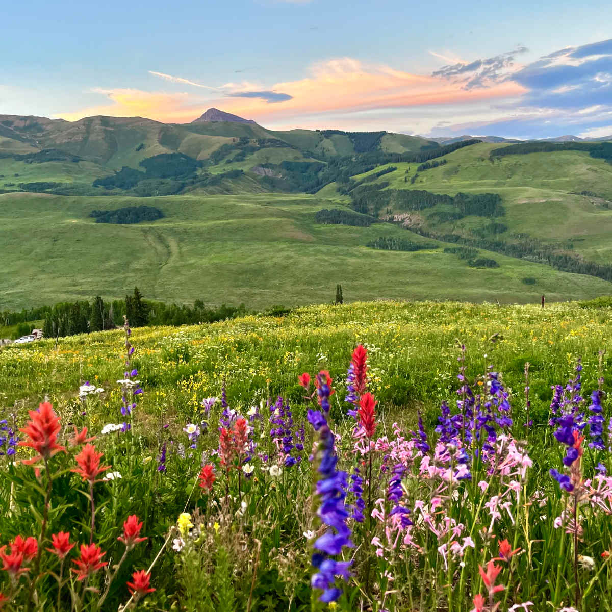 Custom order for Amy