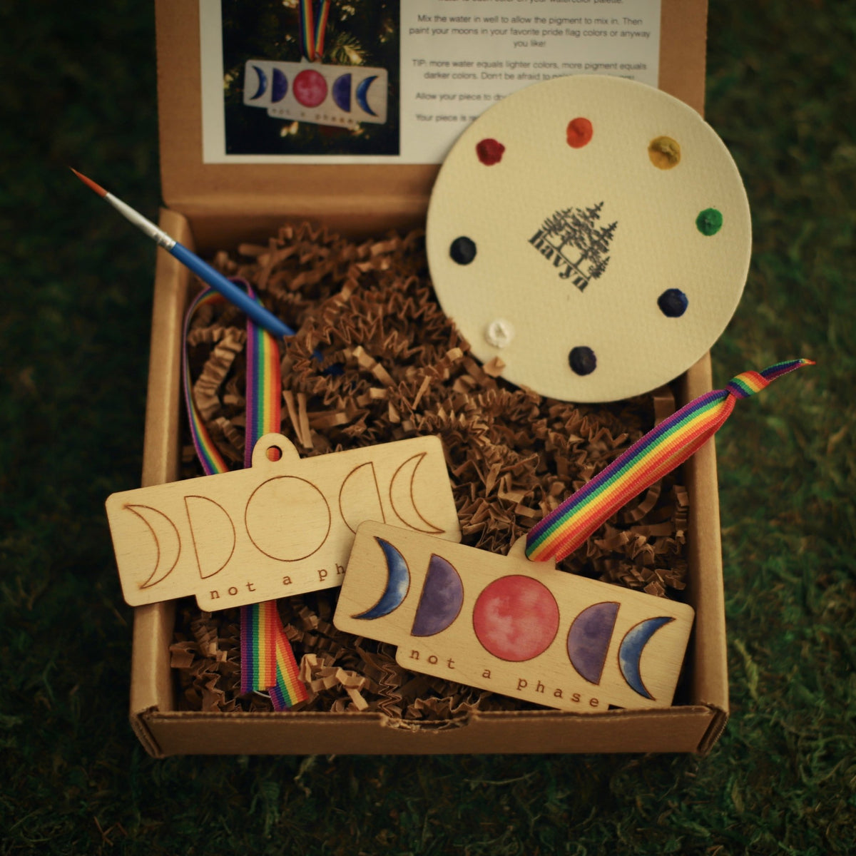 "Not a Phase" Wood Ornament Pride Paint Kit - Havyn