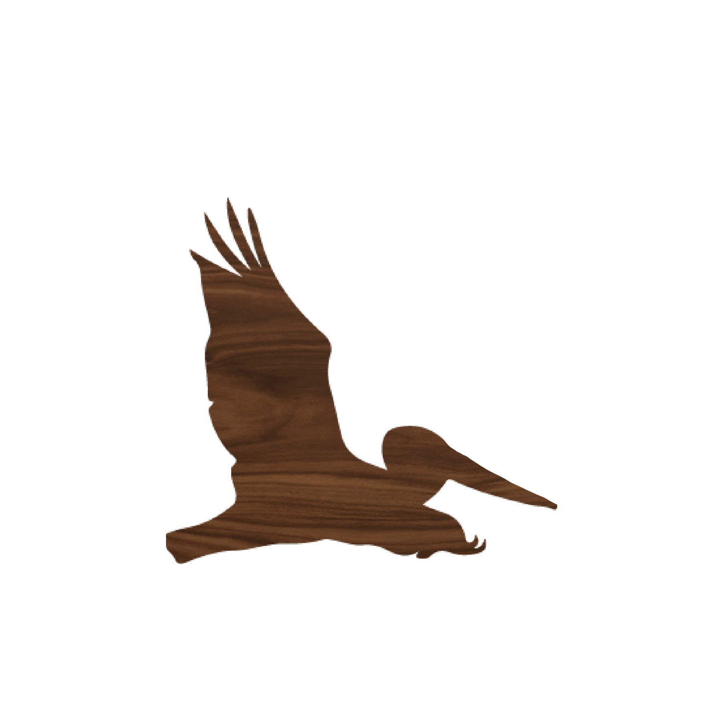 Pelican