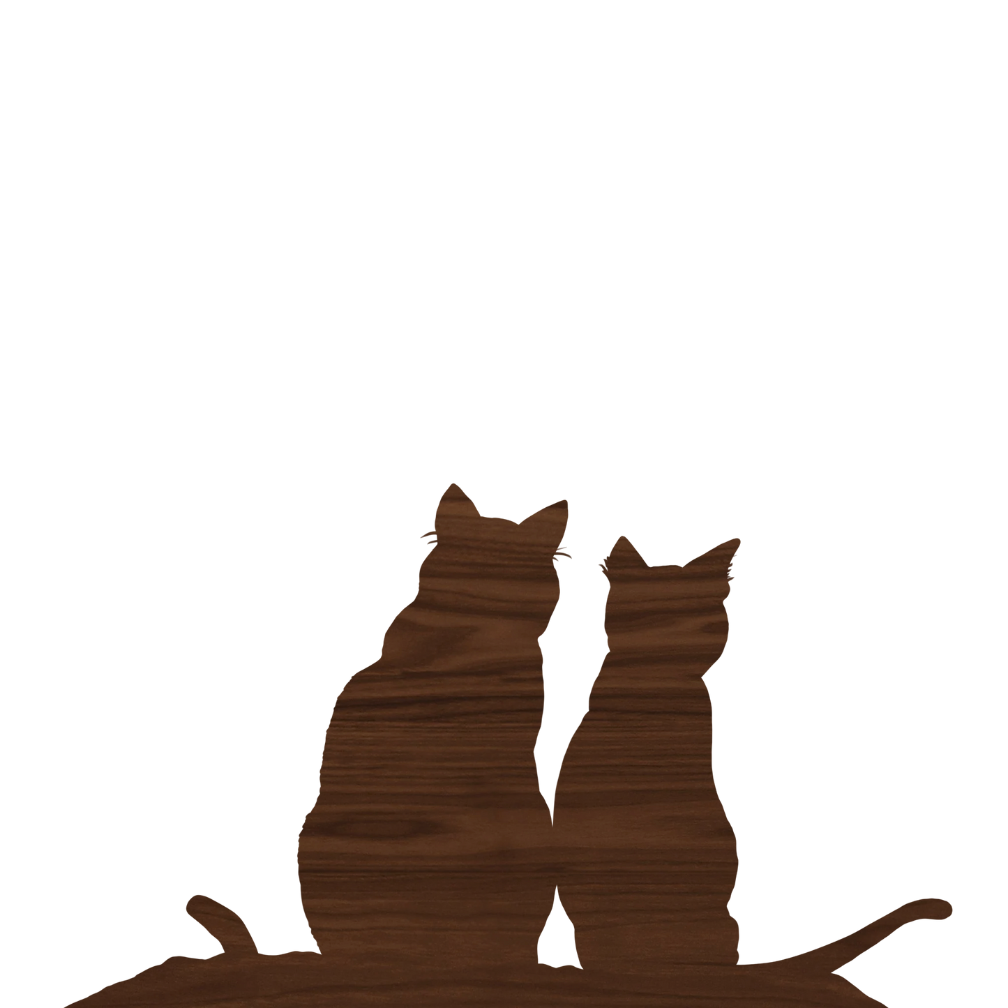 Two Kitties