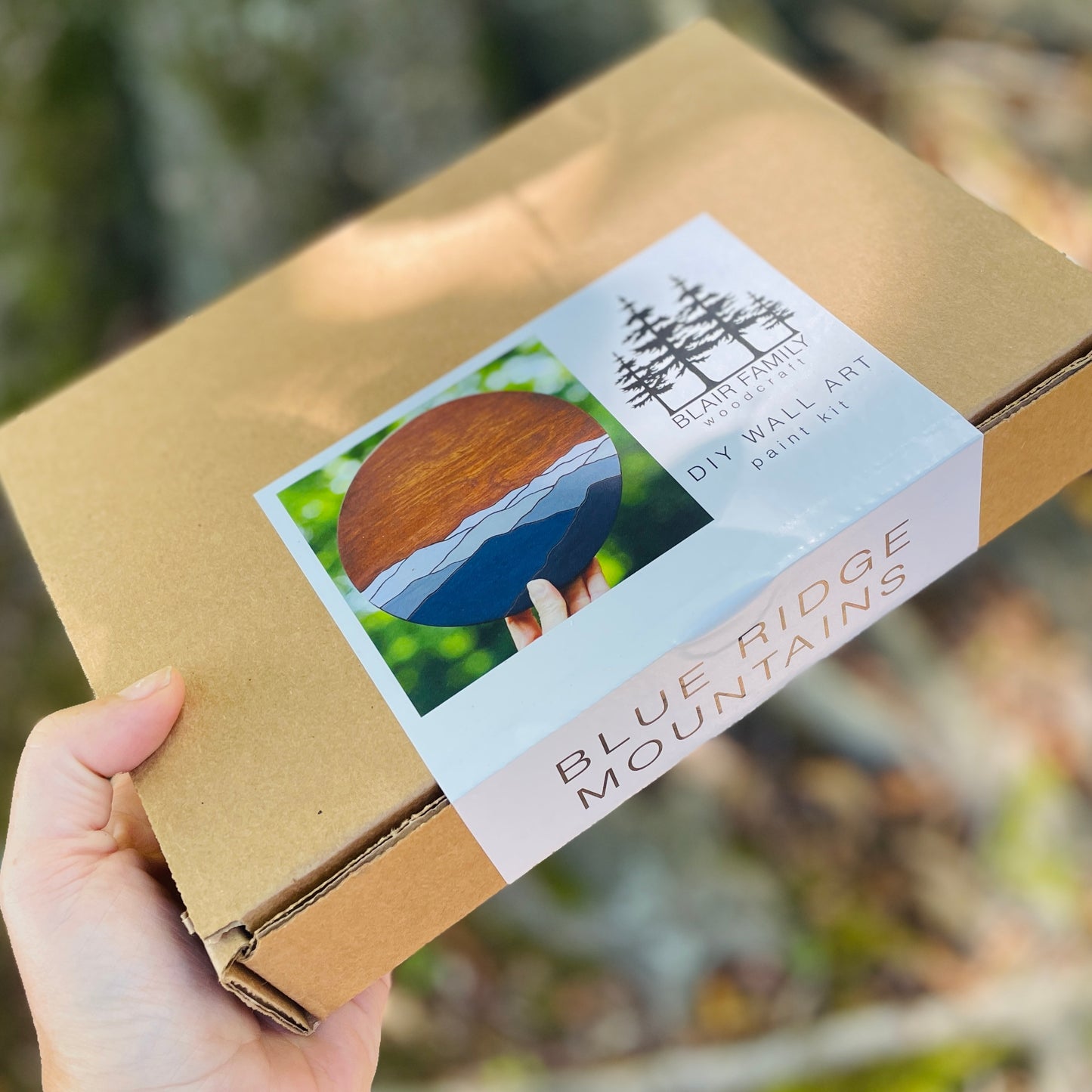 Blue Ridge Mountains Acrylic DIY Paint Kit
