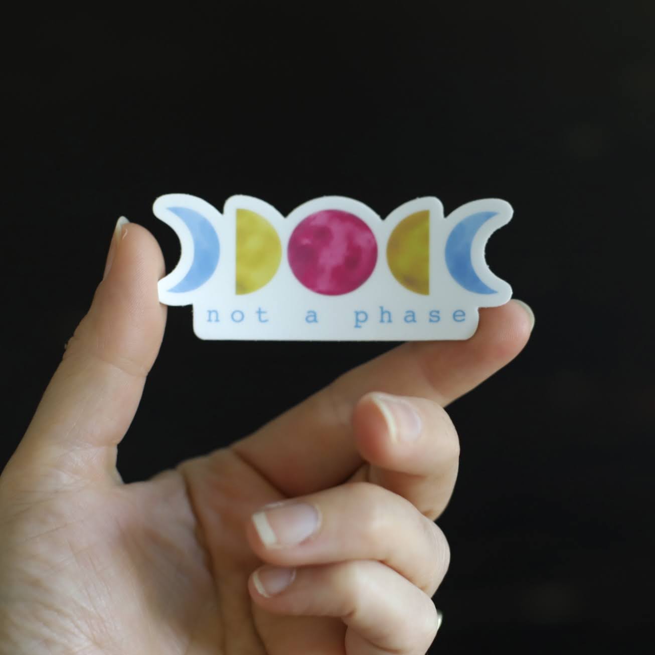 Not a Phase LGBTQ+ Pride Sticker