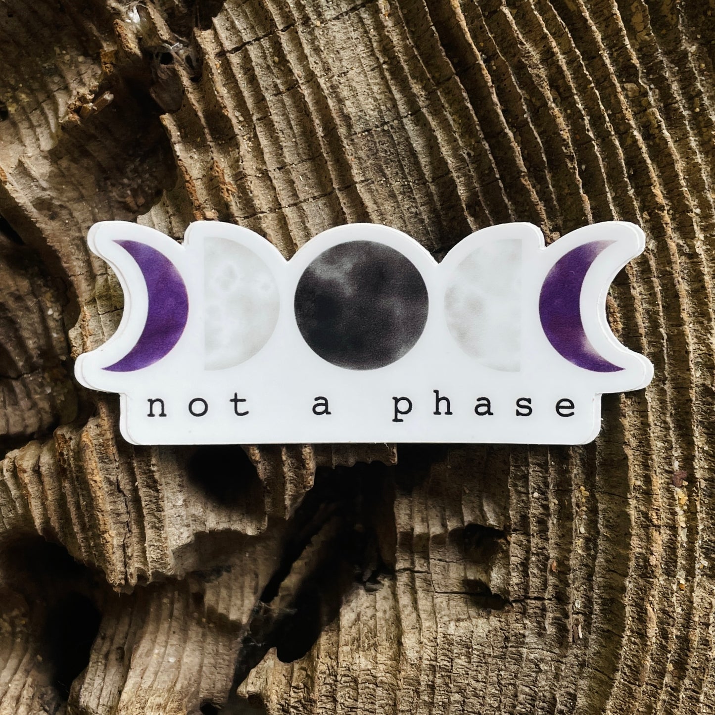 Not a Phase LGBTQ+ Pride Sticker