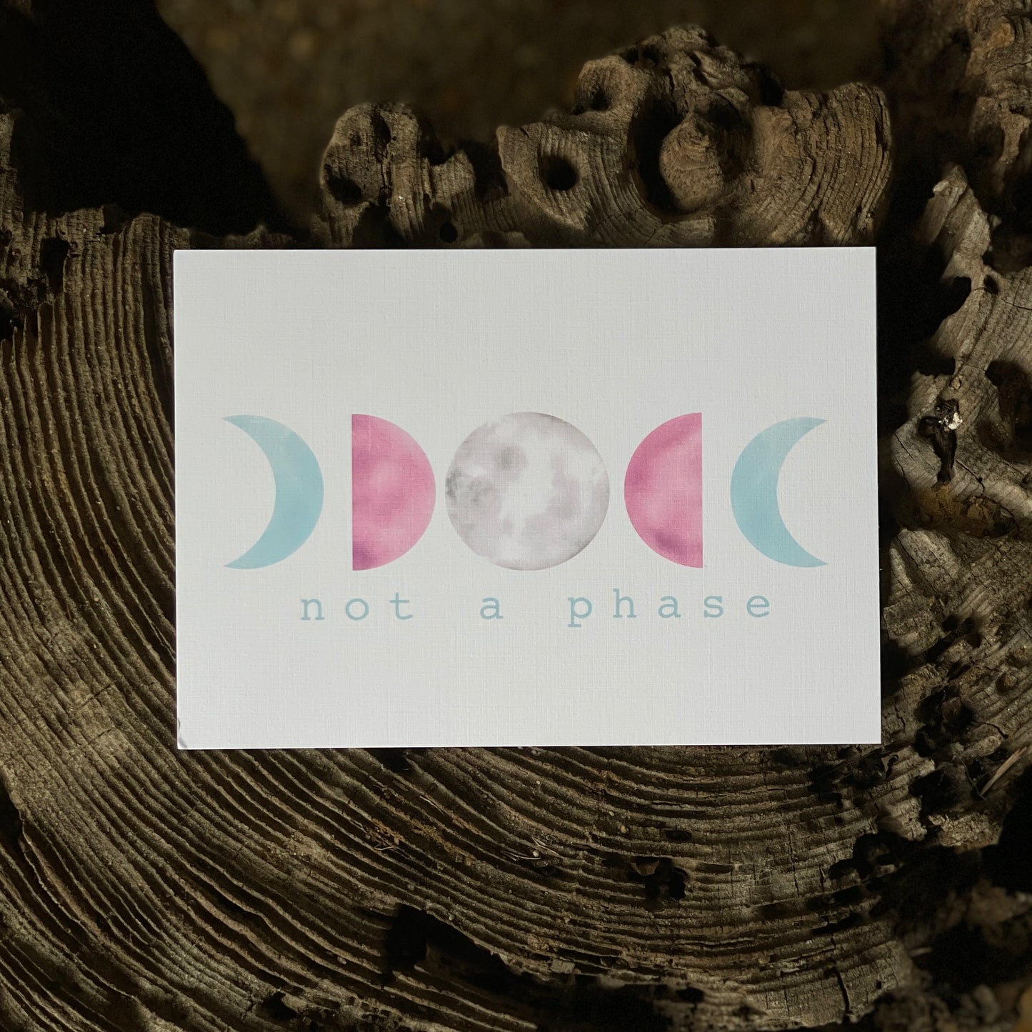 Not a Phase LGBTQ+ Pride Print