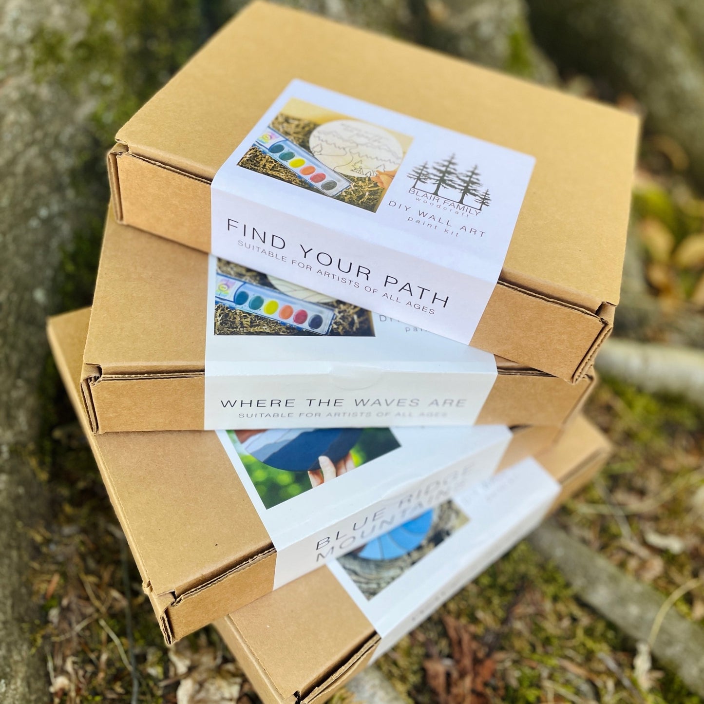 Blue Ridge Mountains Acrylic DIY Paint Kit - Havyn