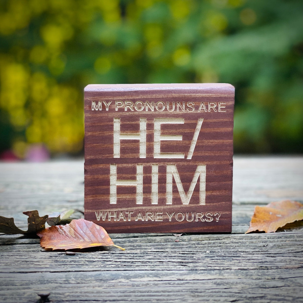 Engraved Pronoun Sign - Havyn