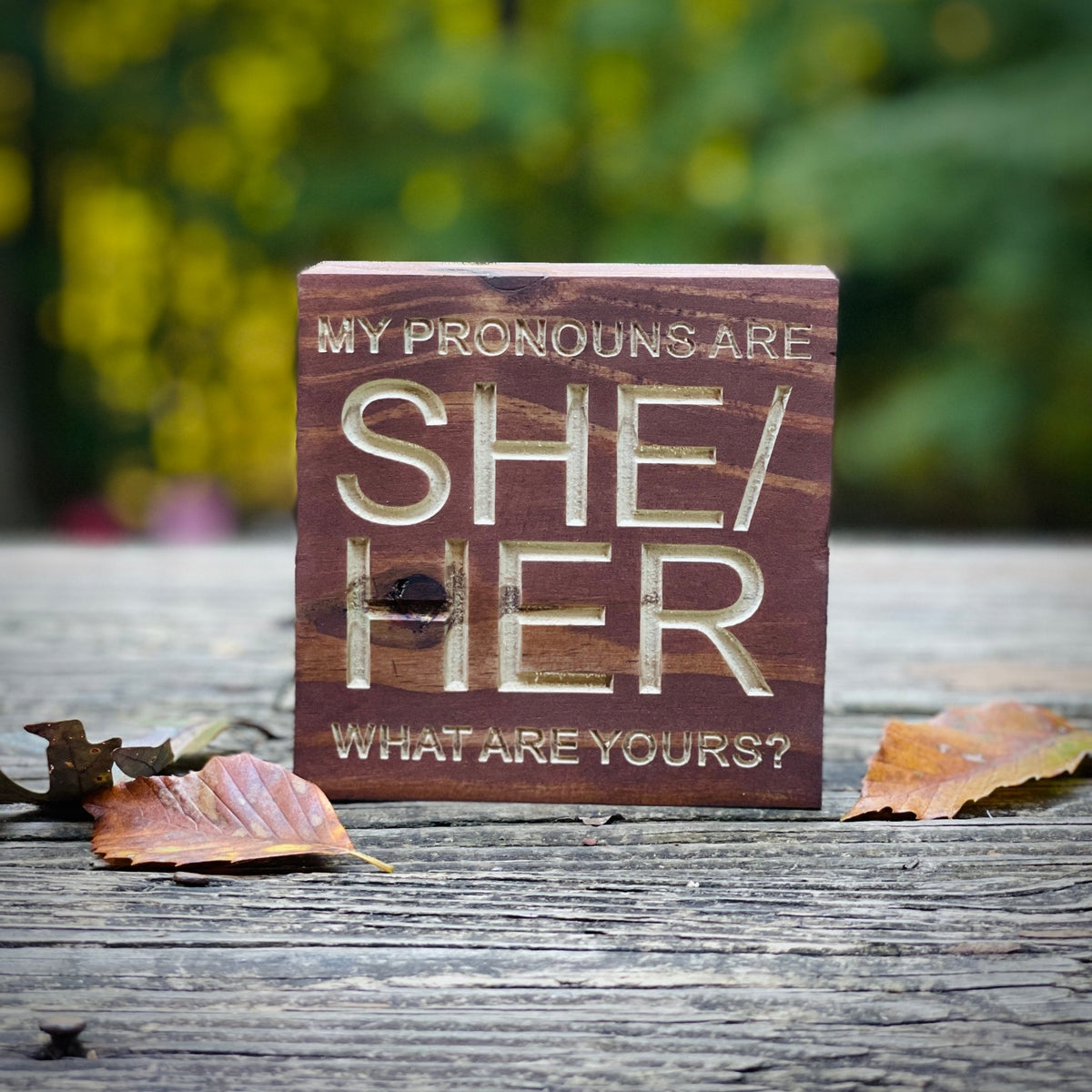 Engraved Pronoun Sign - Havyn
