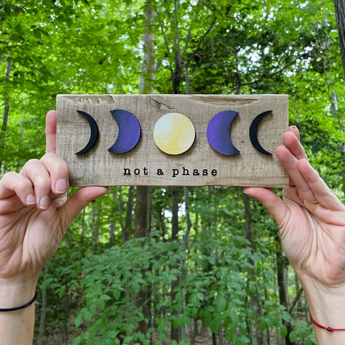 MINI Not a Phase LGBTQ+ Pride Wall Art