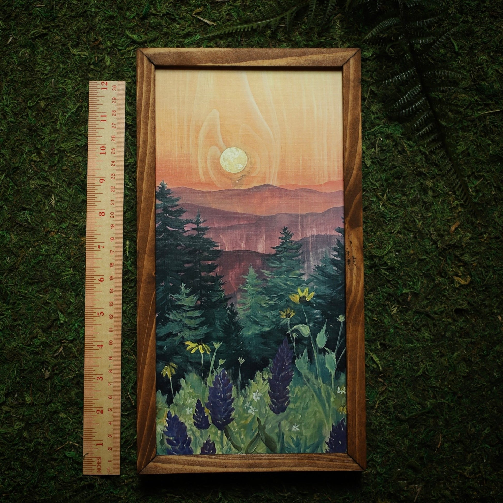 “Acadia Summer" 6x12" Framed Print - Havyn