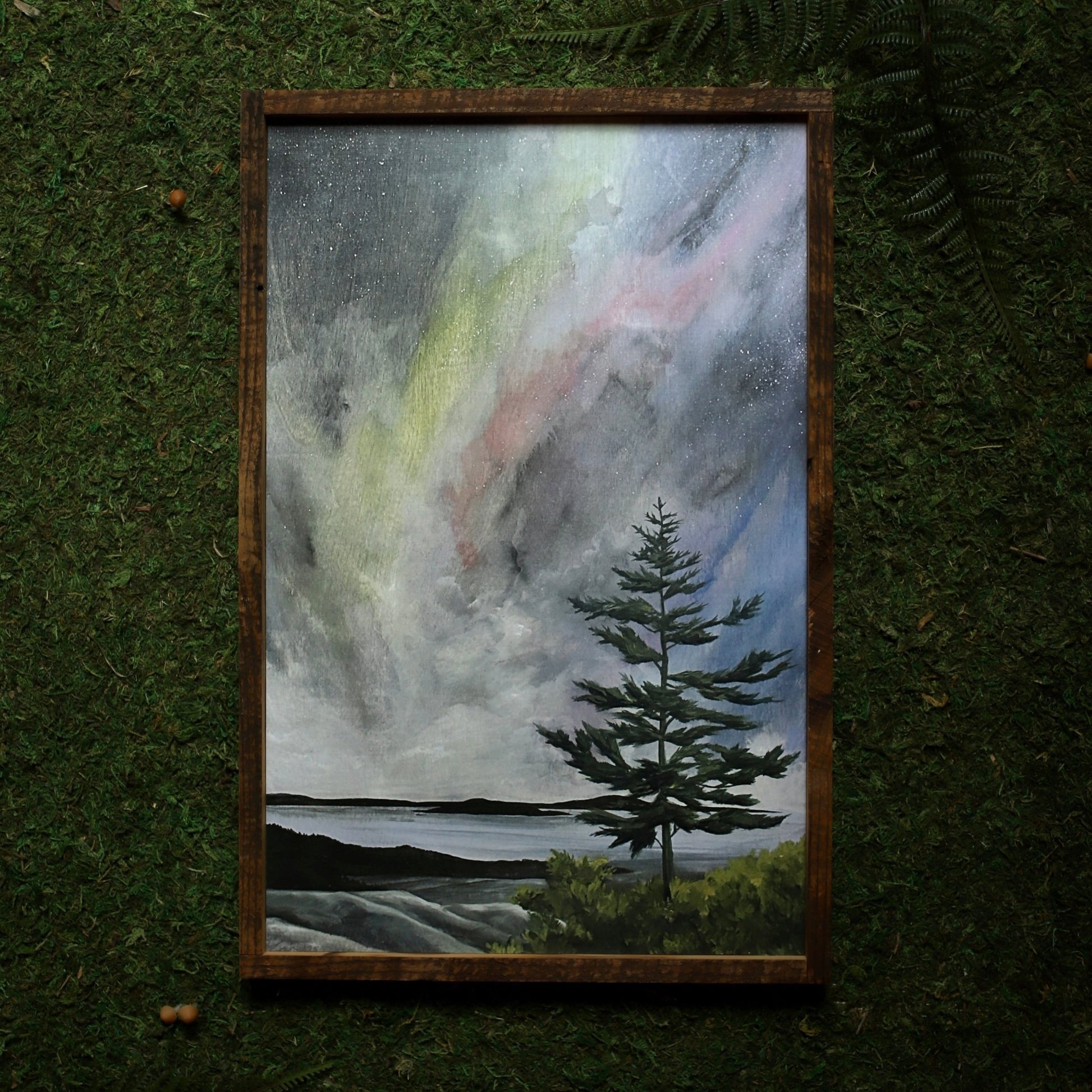 “Aurora Over Acadia" 12x18" Framed Print - Havyn