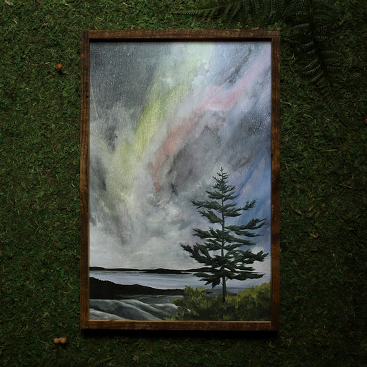 “Aurora Over Acadia" 12x18" Framed Print - Havyn