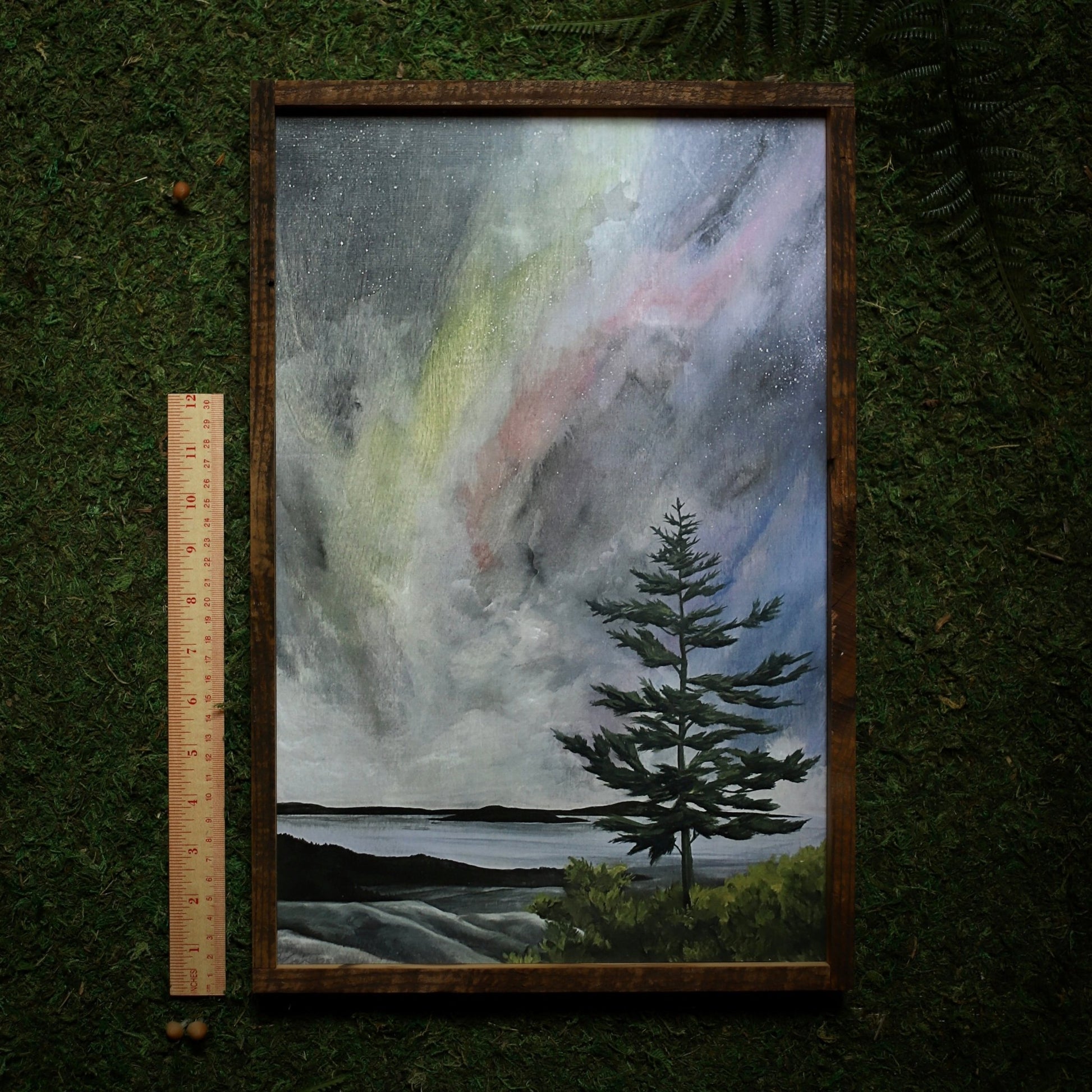 “Aurora Over Acadia" 12x18" Framed Print - Havyn