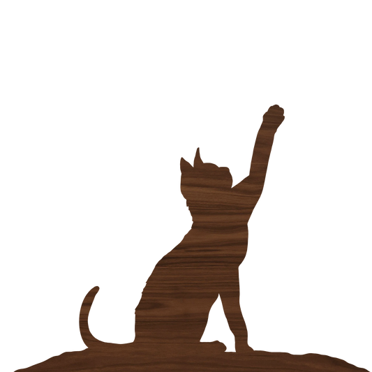 Cat 1