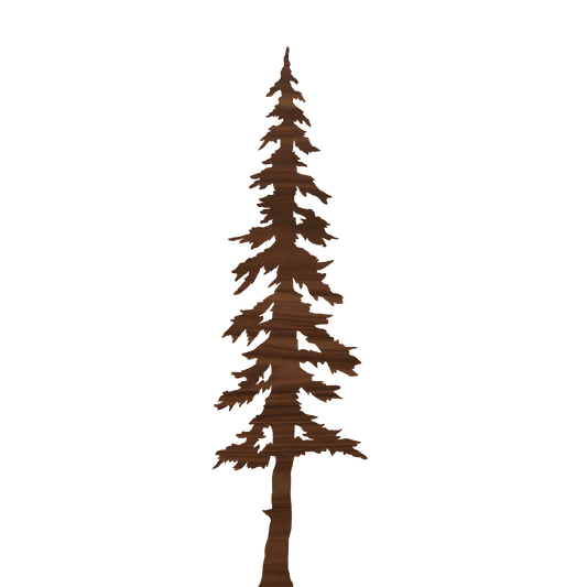 Evergreen