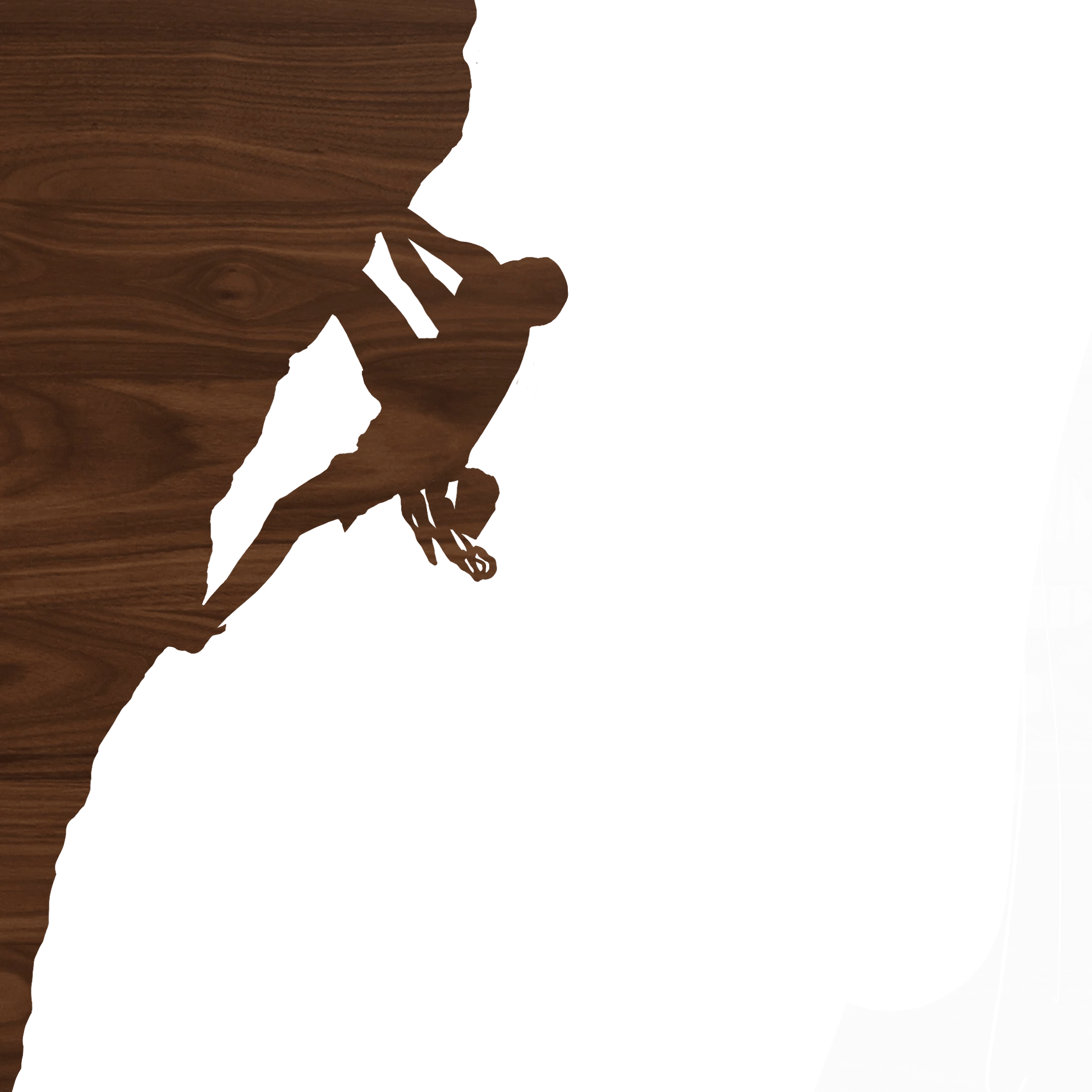 Individual Walnut Silhouette - Havyn