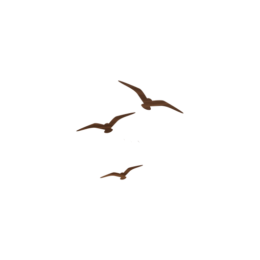 Three Birds