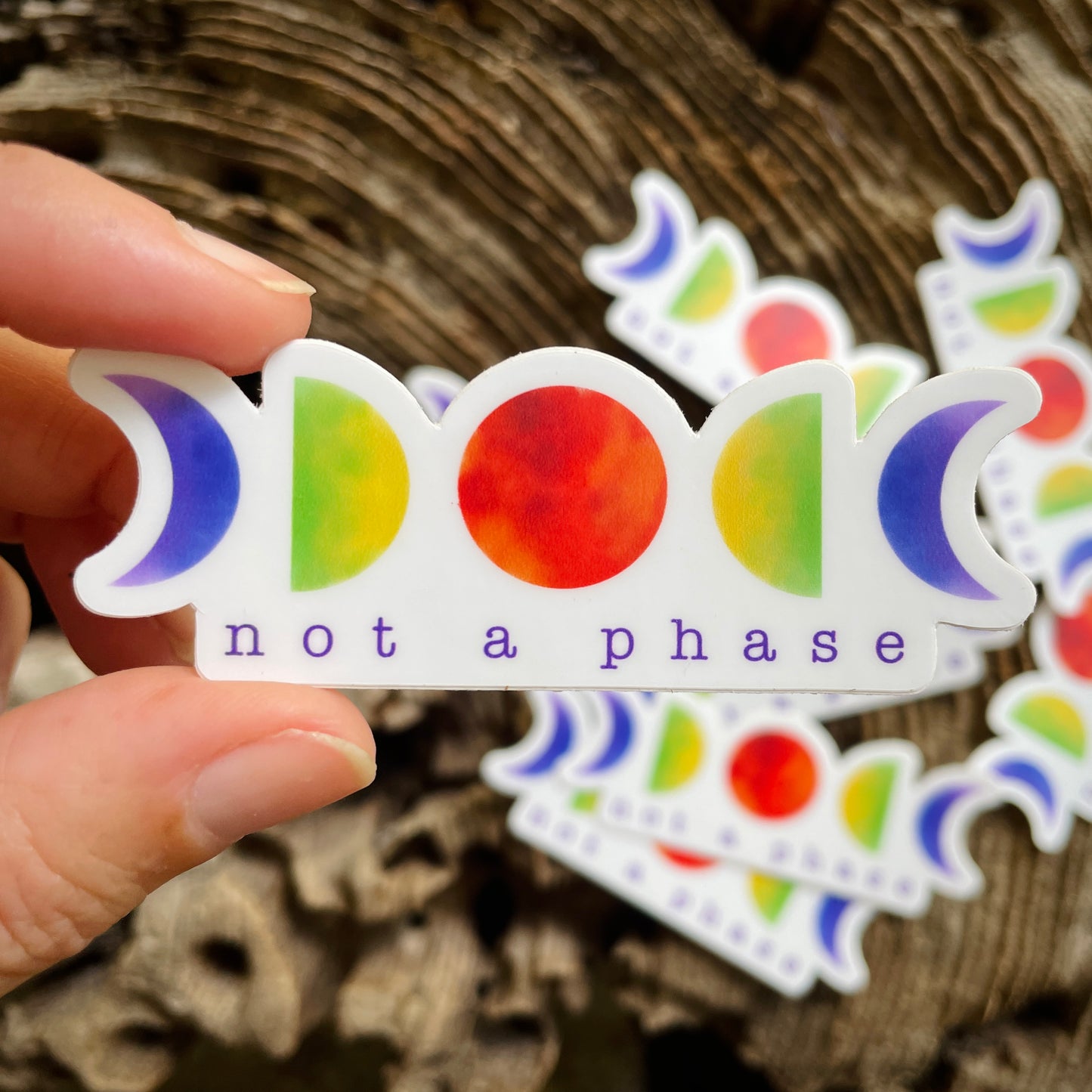 Not a Phase LGBTQ+ Pride Sticker