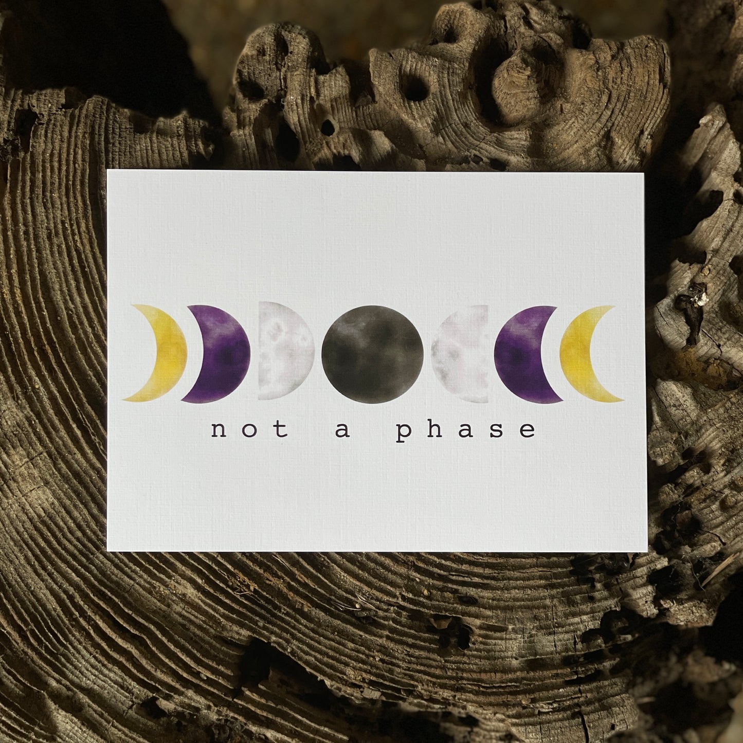 Not a Phase LGBTQ+ Pride Print