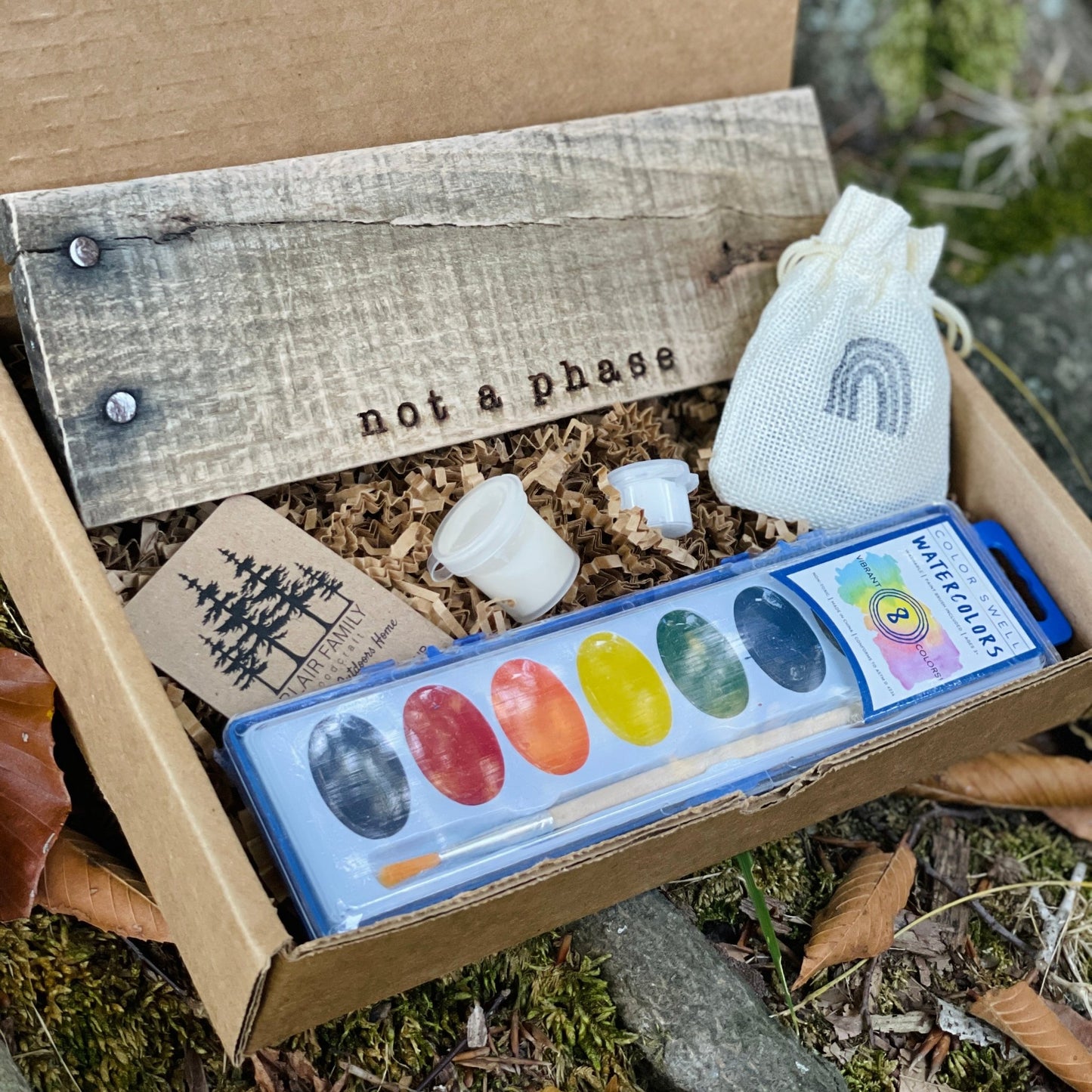 DIY Kit: MINI Not a Phase LGBTQ+ Pride Wall Art - Havyn