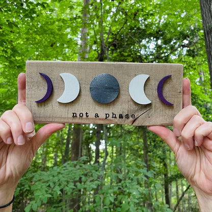 MINI Not a Phase LGBTQ+ Pride Wall Art - Havyn