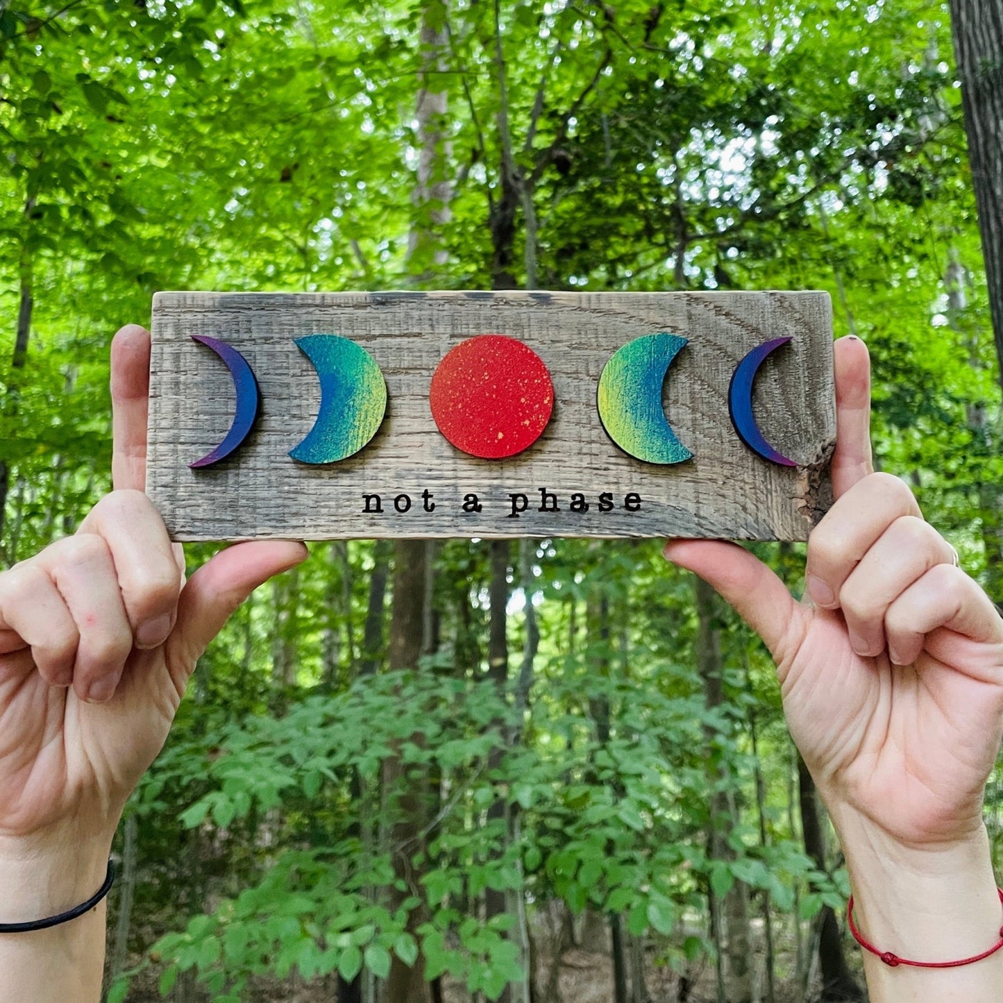 MINI Not a Phase LGBTQ+ Pride Wall Art - Havyn