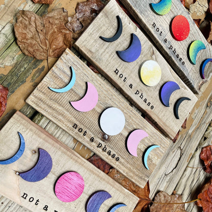 MINI Not a Phase LGBTQ+ Pride Wall Art - Havyn