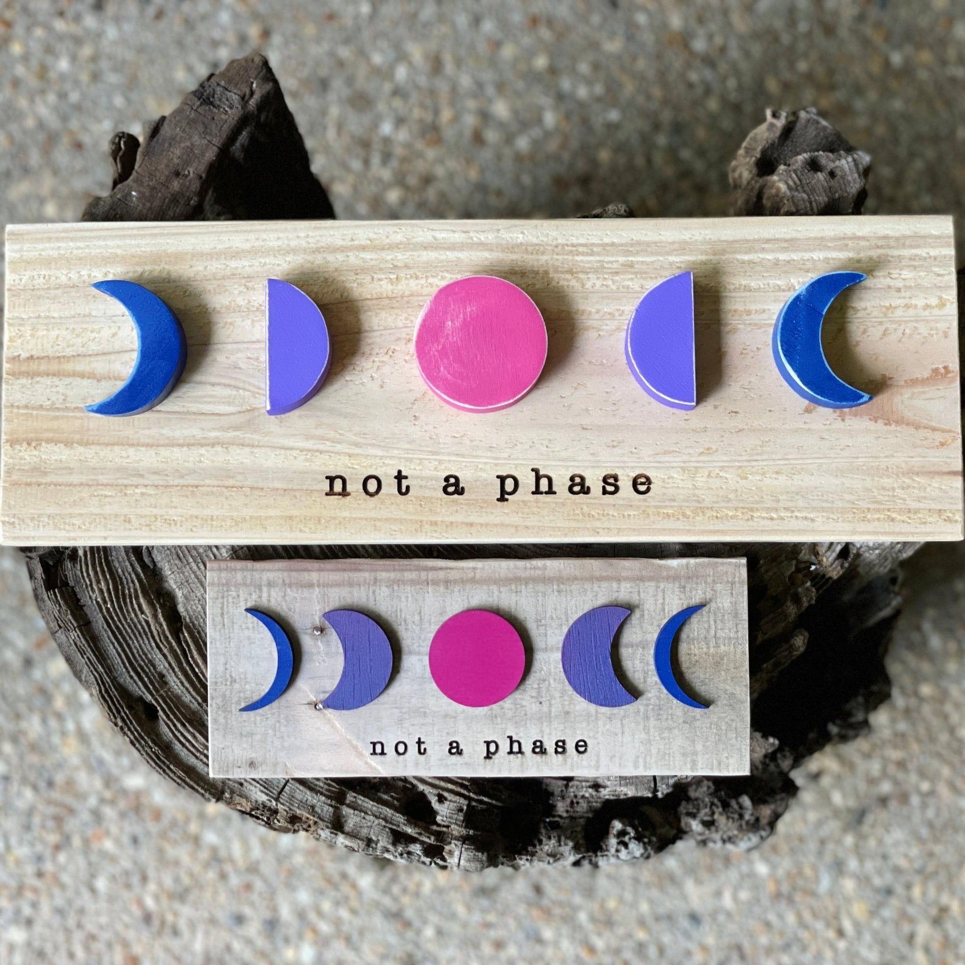 MINI Not a Phase LGBTQ+ Pride Wall Art - Havyn