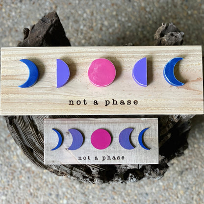 MINI Not a Phase LGBTQ+ Pride Wall Art - Havyn