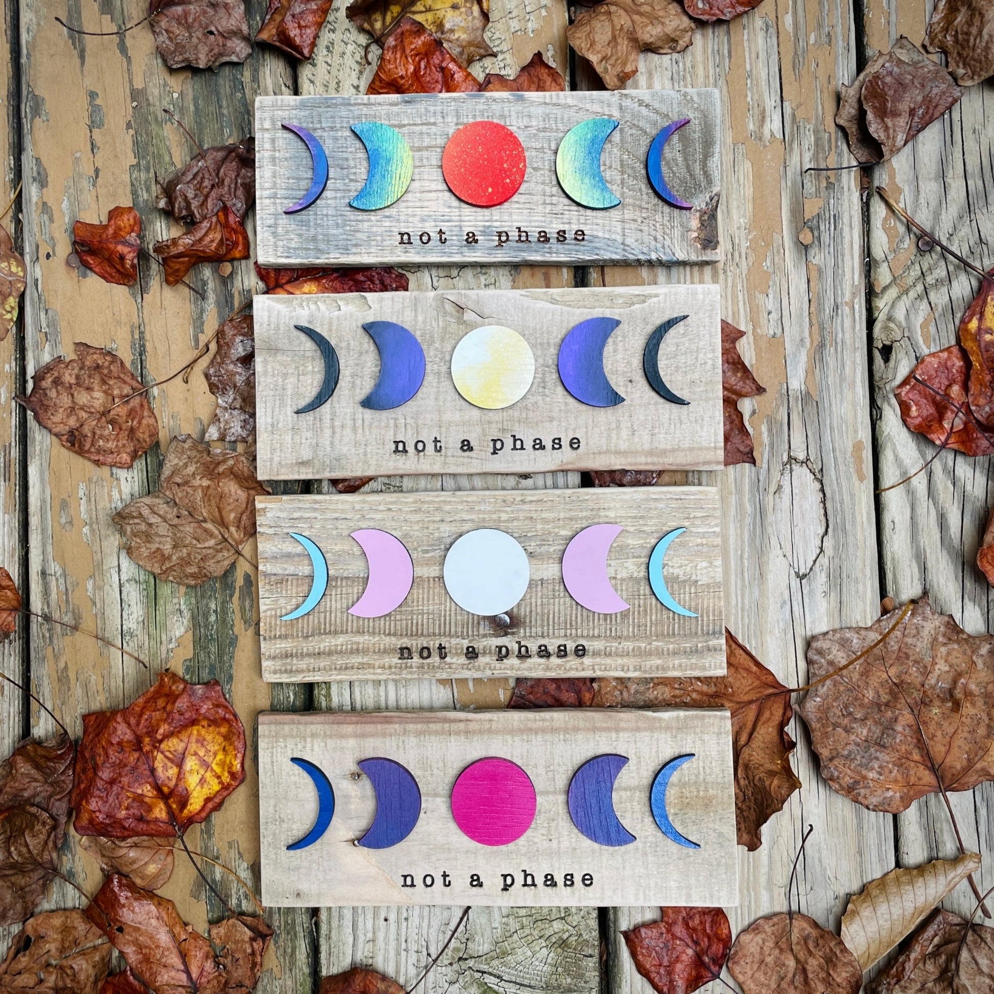 MINI Not a Phase LGBTQ+ Pride Wall Art - Havyn