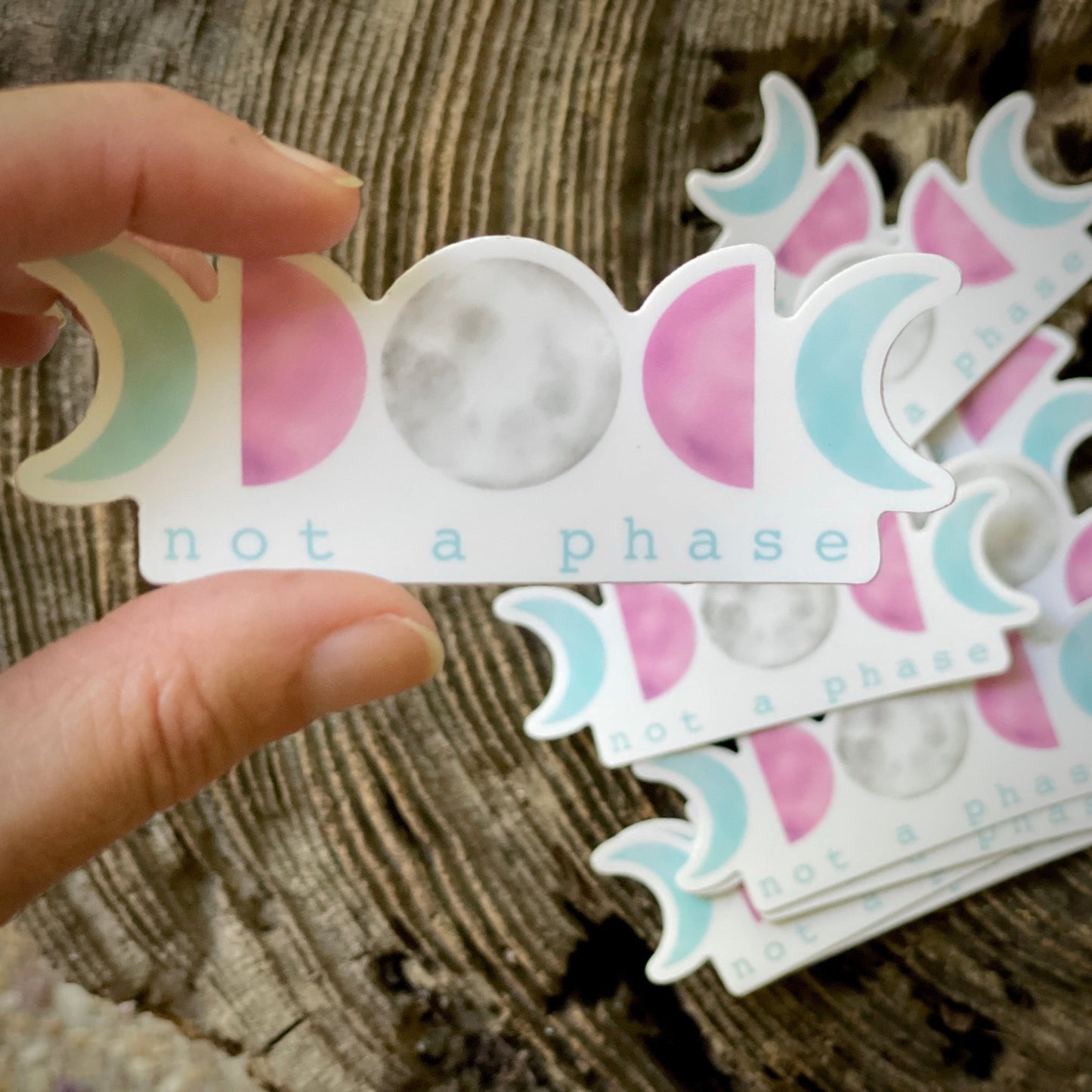 Not a Phase LGBTQ+ Pride 3” Sticker - Havyn