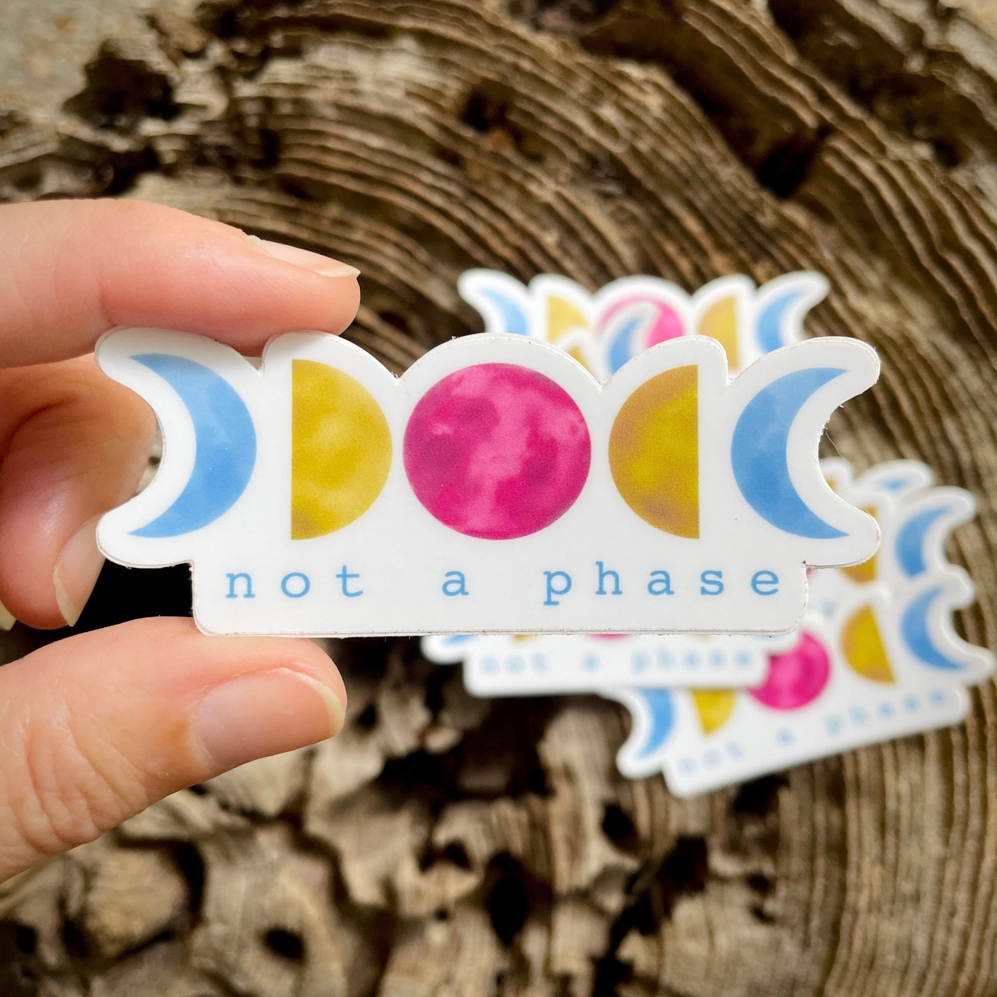 Not a Phase LGBTQ+ Pride 3” Sticker - Havyn