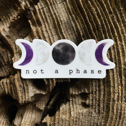 Not a Phase LGBTQ+ Pride 3” Sticker - Havyn