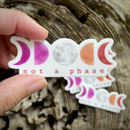 Not a Phase LGBTQ+ Pride 3” Sticker - Havyn