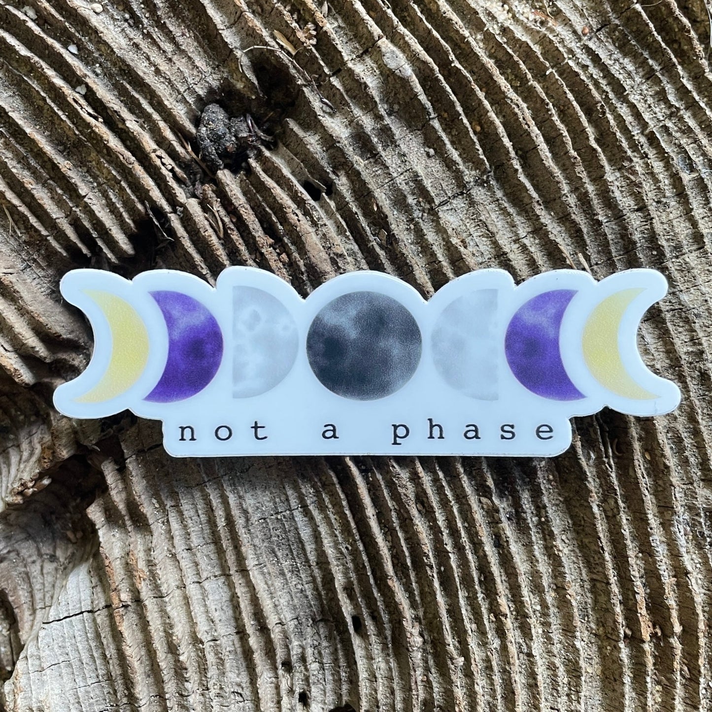 Not a Phase LGBTQ+ Pride 3” Sticker - Havyn