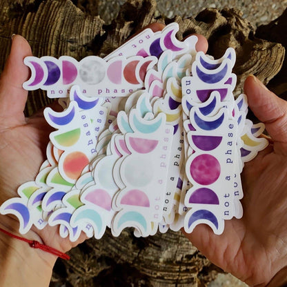 Not a Phase LGBTQ+ Pride 3” Sticker - Havyn