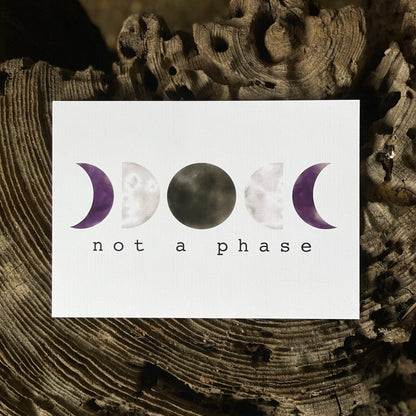 Not a Phase LGBTQ+ Pride Print - Havyn
