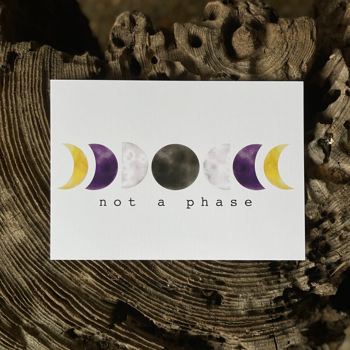 Not a Phase LGBTQ+ Pride Print - Havyn